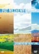 METHENY PAT GROUP