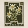 ALLERSEELEN