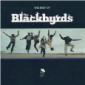 BLACKBYRDS