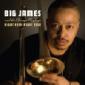 BIG JAMES & CHICAGO BLUES