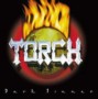 TORCH