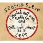 SEASICK STEVE