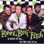 REEL BIG FISH