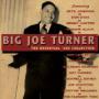 TURNER BIG JOE