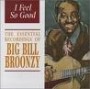 BROONZY BIG BILL