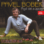 BOBEK PAVEL