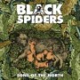 BLACK SPIDERS