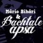 BIHARY & BACHTALE APSA