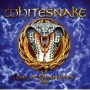 WHITESNAKE