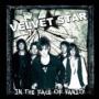 VELVET STAR