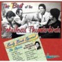 FABULOUS THUNDERBIRDS