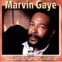 GAYE MARVIN