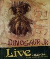 DINOSAUR JR.