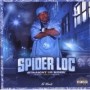 SPIDER LOC