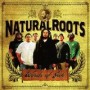 NATURAL ROOTS