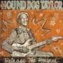 TAYLOR HOUND DOG