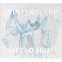 WINTERSLEEP