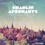 SHAOLIN AFRONAUTS