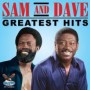 SAM & DAVE