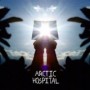 ARCTIC HOSPITAL