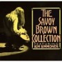 SAVOY BROWN