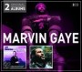 GAYE MARVIN