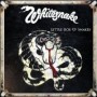 WHITESNAKE