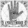 A PERFECT MURDER