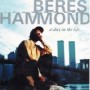 HAMMOND BERES