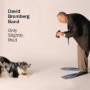 BROMBERG DAVID