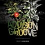 ADDISON GROOVE