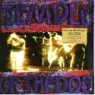 TEMPLE OF THE DOG