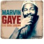 GAYE MARVIN