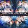 BETWEEN THE BURIED AND ME