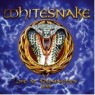 WHITESNAKE