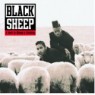 BLACK SHEEP