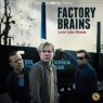 FACTORY BRAINS