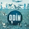 ODIN