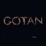 GOTAN PROJECT