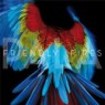 FRIENDLY FIRES