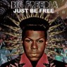 BIG FREEDIA