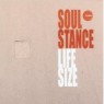 SOULSTANCE