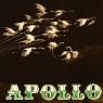 APOLLO