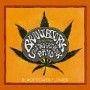 BRANT BJORK & THE LOW DESERT PUNK BAND