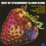 STRAWBERRY ALARM CLOCK