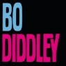 DIDDLEY BO