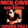 CAVE NICK & BAD SEEDS