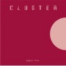 CLUSTER