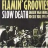 FLAMIN GROOVIES