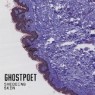 GHOSTPOET